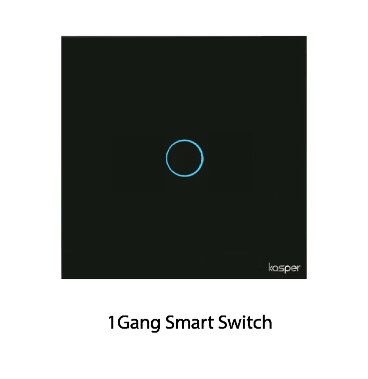 Black Kasper wall switch with one blue touch ring.